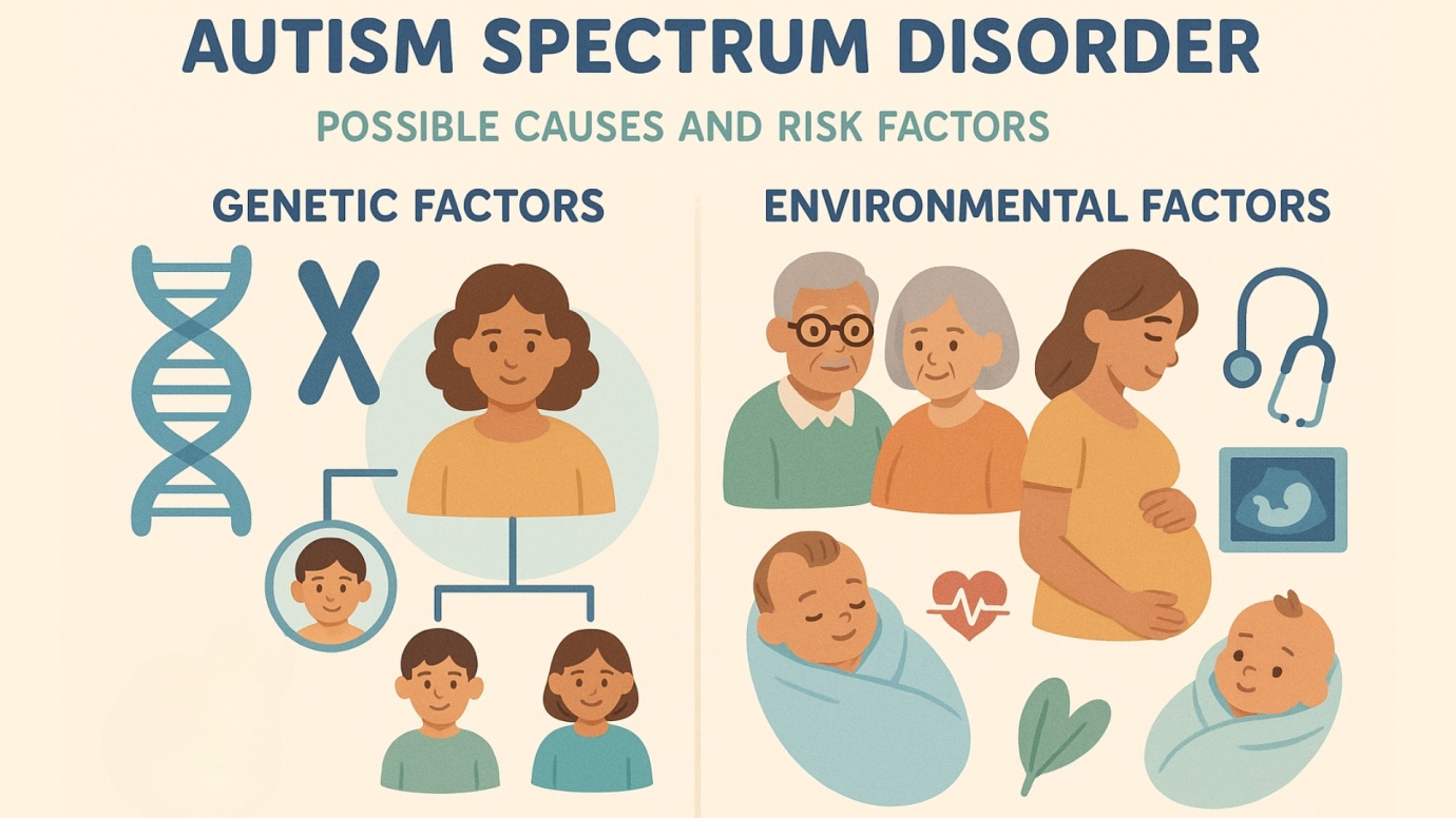 Causes and Risk Factors of ASD